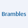 Brambles Limited logo