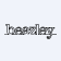 Beazley plc logo