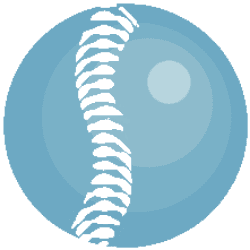 Bone Biologics Corporation logo