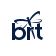 BioRestorative Therapies, Inc. logo