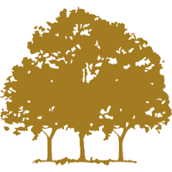 Canopy Growth Corporation logo