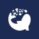 Nocera, Inc. logo