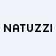 Natuzzi S.p.A. logo