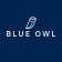 Blue Owl Capital Inc. logo