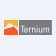 Ternium S.A. logo